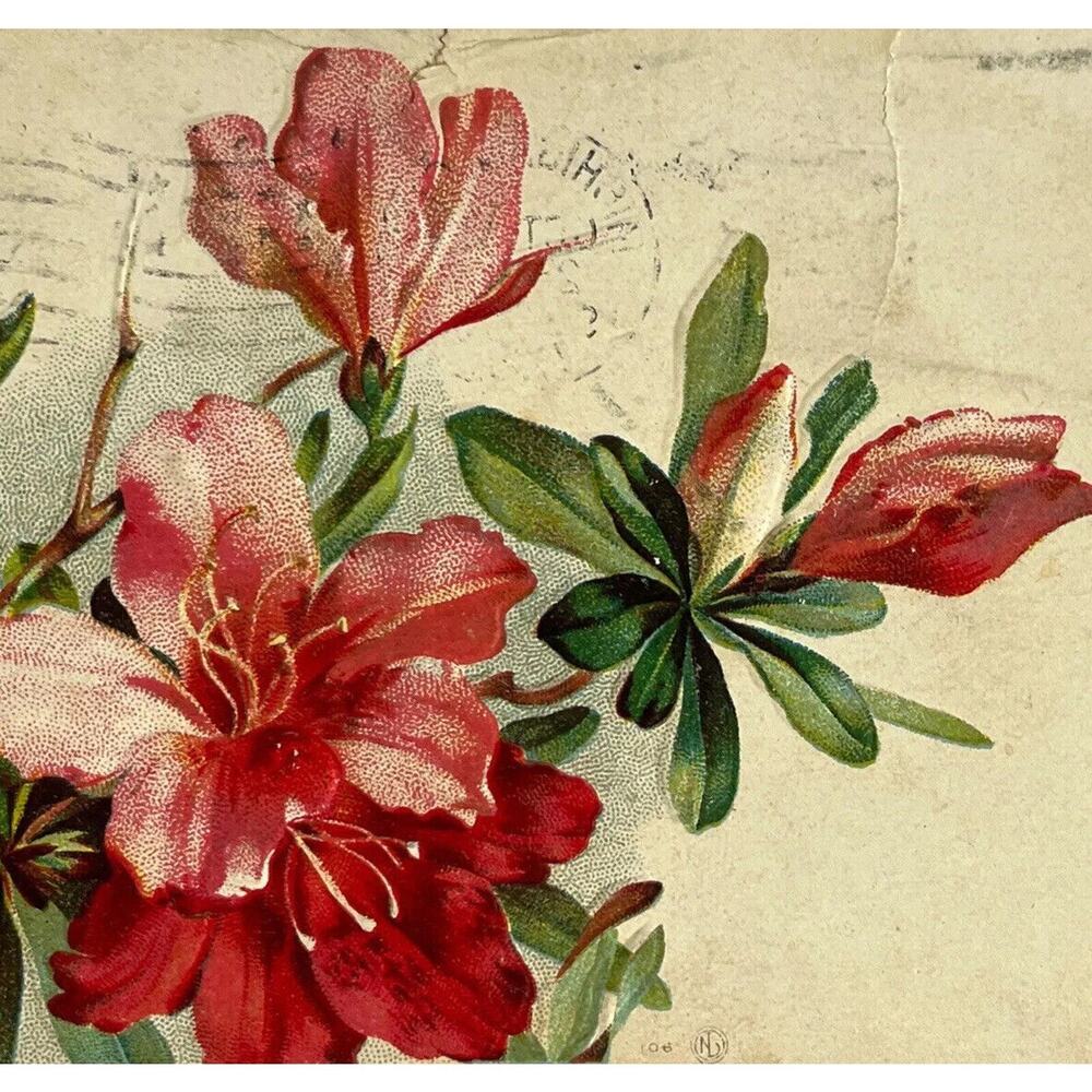 Antique 1909 Ephemera Embossed Posted Signed Postcard Lilies Floral Best Wishes